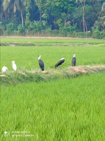 Tamizhan Unavagam